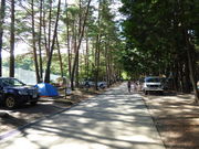 ͂΂˂낳̐MBō I[gLv̓eʐ^2