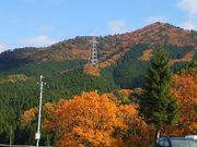 ܂񁙂񂳂̂Ԃ̗̓eʐ^2