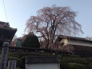 ܂񁙂񂳂̉~̃V_UN̓eʐ^1