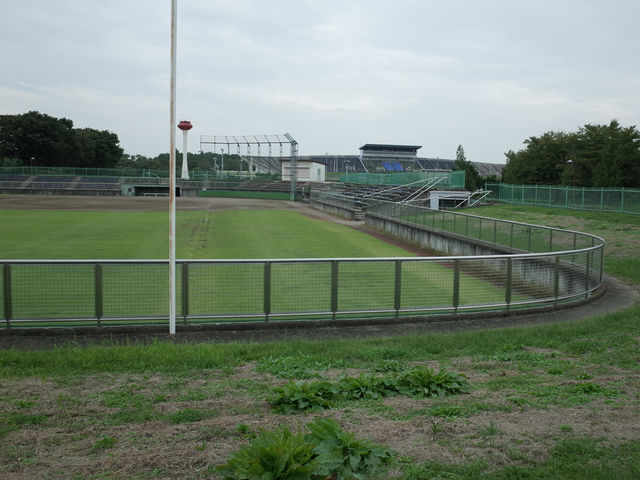 �F�J�X�|�[�c��������