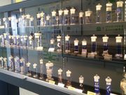 bq񂳂̖ڍ񐶒ق̓eʐ^1