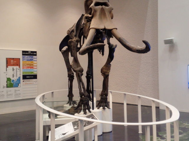 �k�C��������