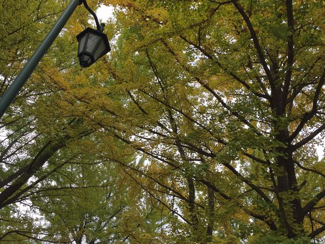 �����́A�g�t���Ă܂���_�k��C�`���E����