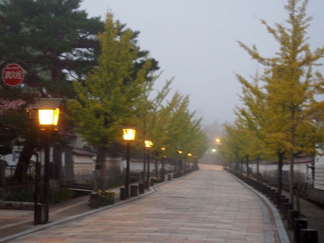 夜明けの殿町通_殿町通り