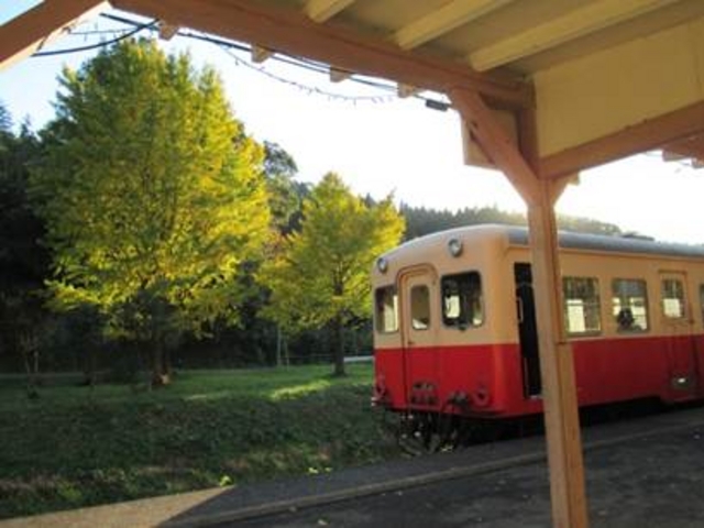 上総大久保駅です。里山にある駅で銀杏の下にブランコがあります。トトロの駅とも呼ばれています。_小湊鐵道
