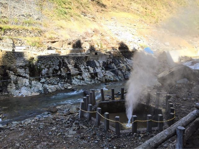 渋の地獄谷噴泉