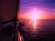 oceanclub̐Ί_Vm[PcA[bVm[POX@I[VNu̓eʐ^1