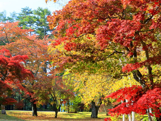 �����̍s���͂����뉀�͎U�􂷂�ɍœK_�x�m�r���[�z�e��