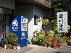 V[̌F̐쉷 ǂ̓ւ̓eʐ^1