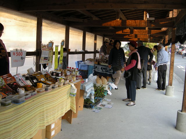 ���_���򒩎s