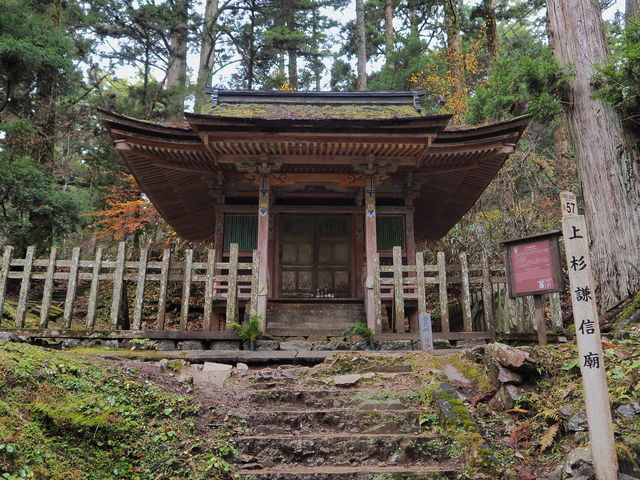 sklfh̏㐙MEi̓̕eʐ^1