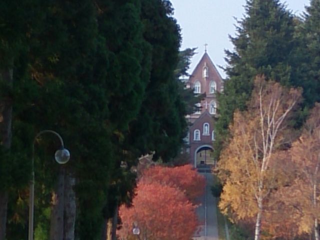 �����V�g�[���̐����C���@�i�g���s�X�g�C���@�j