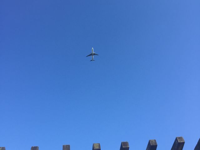 mai̍RqiW]{݁j̓eʐ^1