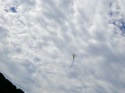 O؂̂񂳂񌳋Cǂ̓eʐ^1