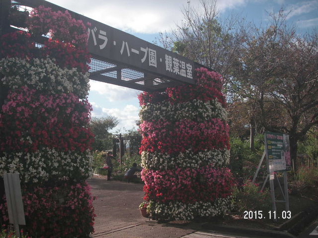 �����܃o���E�n�[�u��