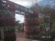 Ԃ񂿂񂳂̂܃oEn[u̓eʐ^1