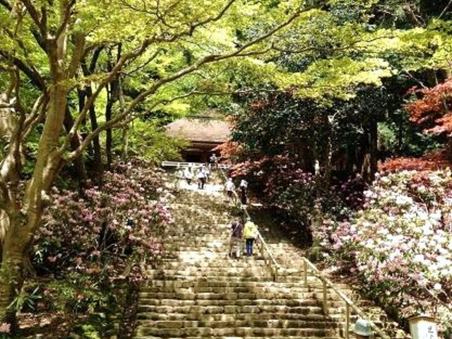 �V���N�i�Q03_������