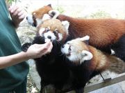 ݂肳̂Ƃܓ@k݂̐X̓eʐ^2