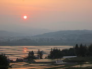 X̃N}̍فi`oj̓eʐ^2