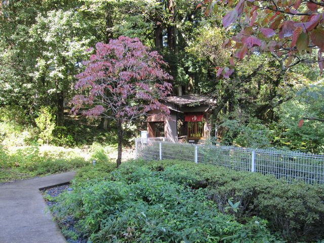 2015�N10���B�e�j
�ܓc����u�v���o�Q���فv�k���I�V���C_�ܓc����