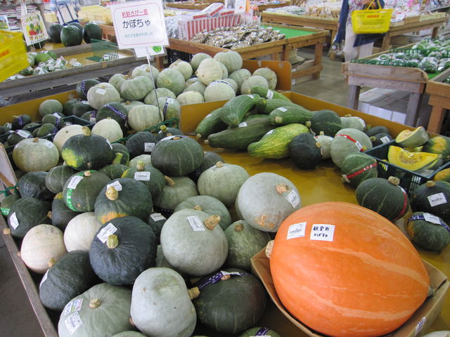 񂳂̏\YZ^[LL̓eʐ^4