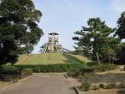 񂳂̑쒪͂܂Ȃ̓eʐ^3