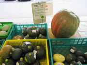 񂳂̏\YZ^[LL̓eʐ^5