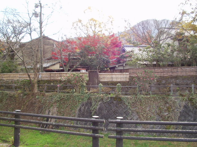 �啪��̒���