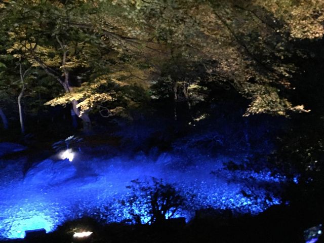 ���C�g�A�b�v_�Z�`��