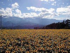 ܂ҁ[̎Rt[Z^[EnCW̑ւ̓eʐ^1