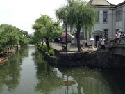 Sakamoto119̑匴pق̓eʐ^8