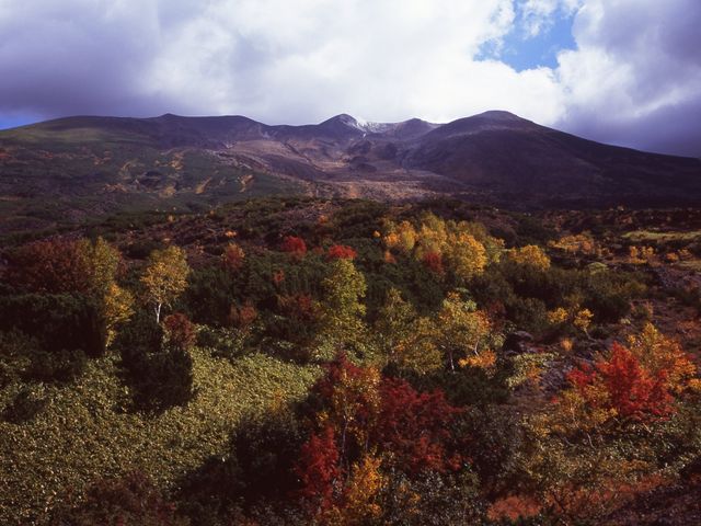 �\���x�A��_�\���x�]�x��