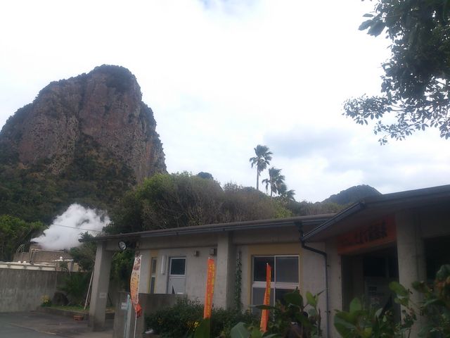 �I�V���C�̎�t_�w���V�[�����h�I�V���C�u���܂Ĕ�����v