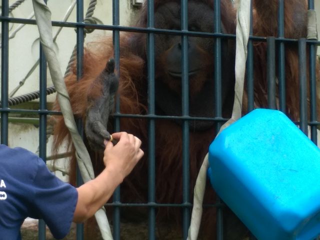 �������킩��₷���y��������_���R������