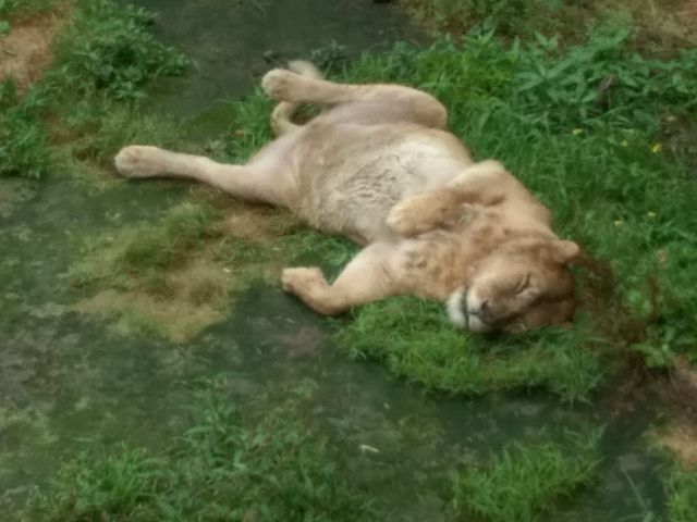 �����˂��イ?_���R������