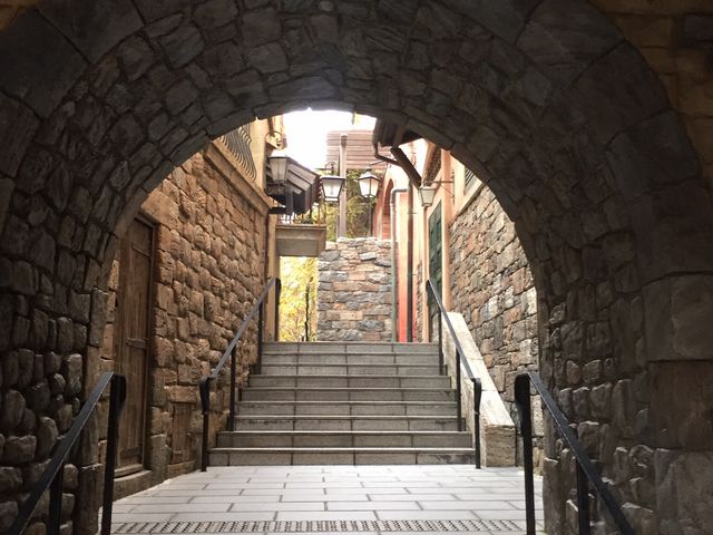 �����f�B�Y�j�[�V�[(R)