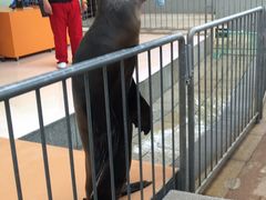 honeytea̐EW ANAggӂւ̓eʐ^1