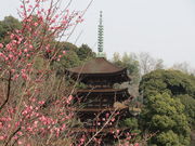 �܂�����񂳂�̍��R�����^���߂̓��e�ʐ^1