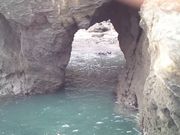 ǂ񂵂񂳂̌P̓eʐ^1