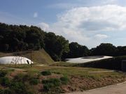 ǂ񂵂񂳂̓y^TCN̓eʐ^1