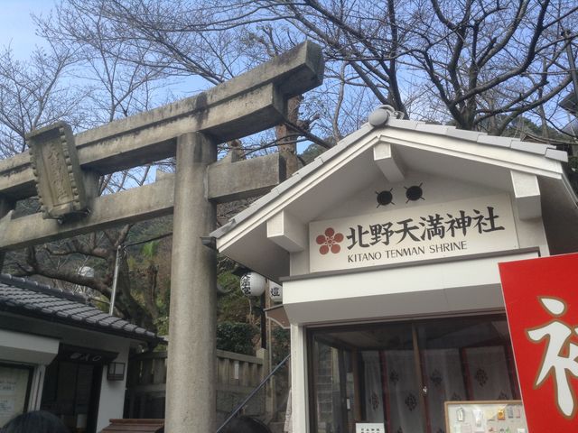 �k��V���_�Ёi�����̂Ă�܂񂶂񂶂�j_�k��V���_��