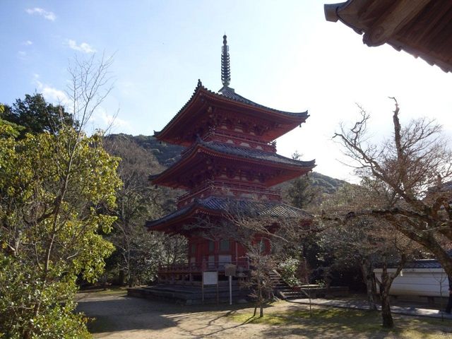 �O�d��_���R��