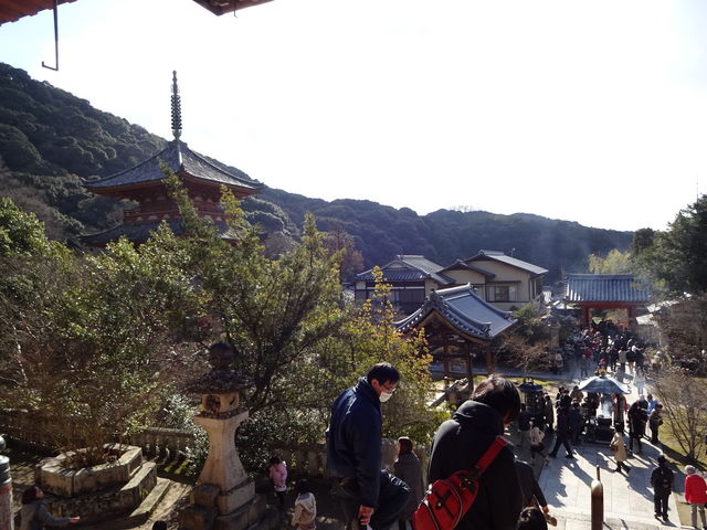 �{�����璭�߂܂���_���R��