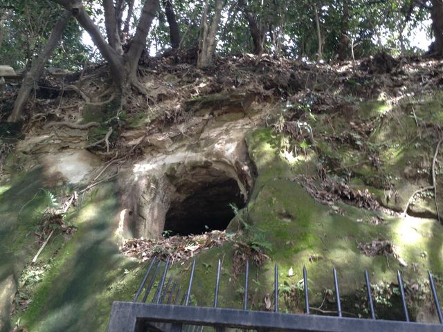 �����������Q_�����������Q