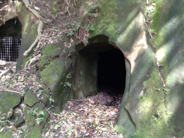 �����������Q_�����������Q