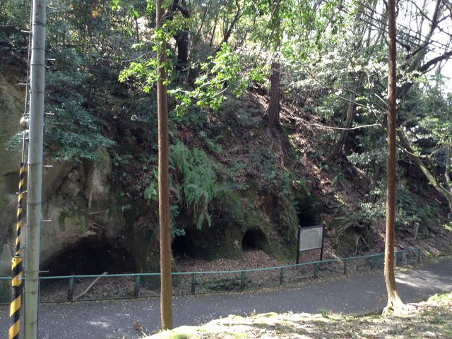 �����������Q_�����������Q