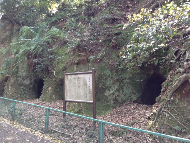 Sakamoto119̈Q̓eʐ^3