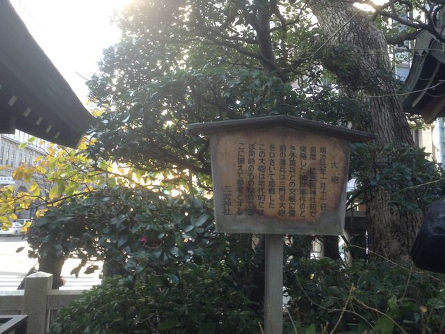 �O�{�_��_�O�{�_��