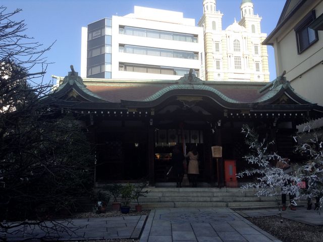 �O�{�_��_�O�{�_��