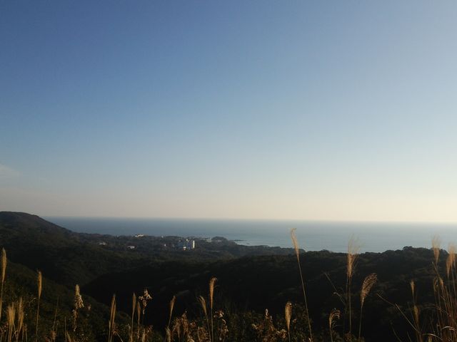 �ō�_�p�[�����[�h